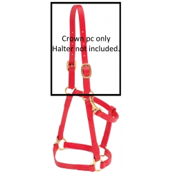 Replacement crown for the Beta Halter